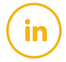 linkedin icon