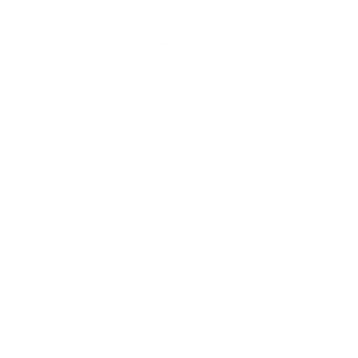 Donewell motor logo